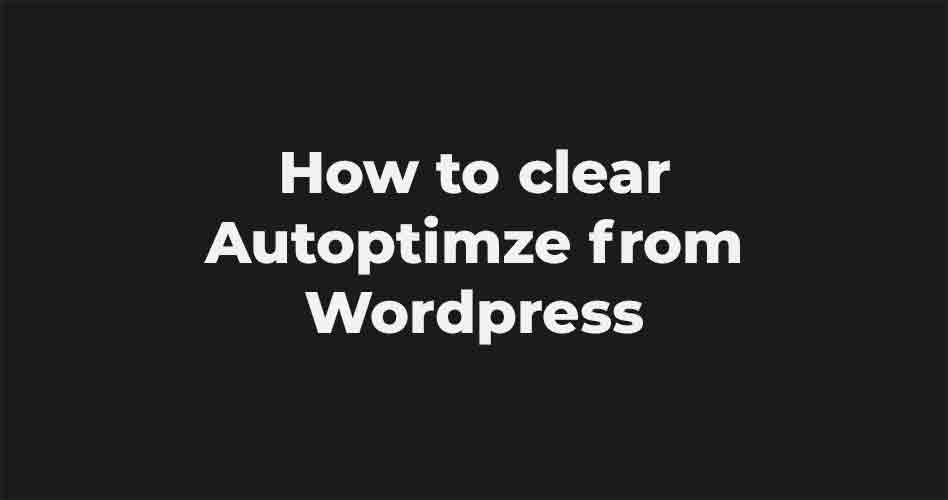 clear autoptimize from wordpress